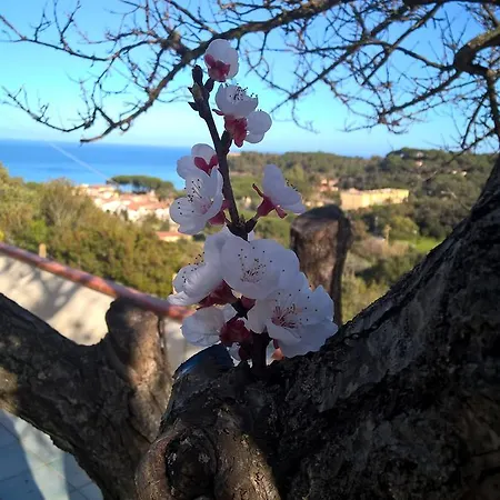 Elba 4* Capoliveri (Isola d'Elba)