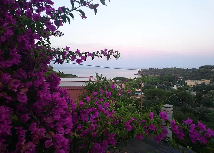 מלון דירות Elba 4*