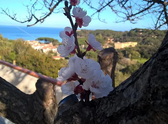 Elba 4* Capoliveri (Isola d'Elba)