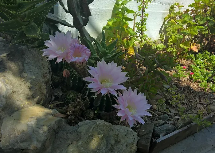 מלון דירות Elba 4*